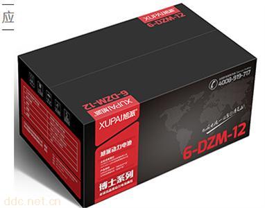  旭派电池6-dzm-12